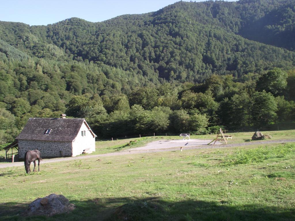 Les Chalets De La Foret D'Issaux Osse-en-Aspe Стая снимка