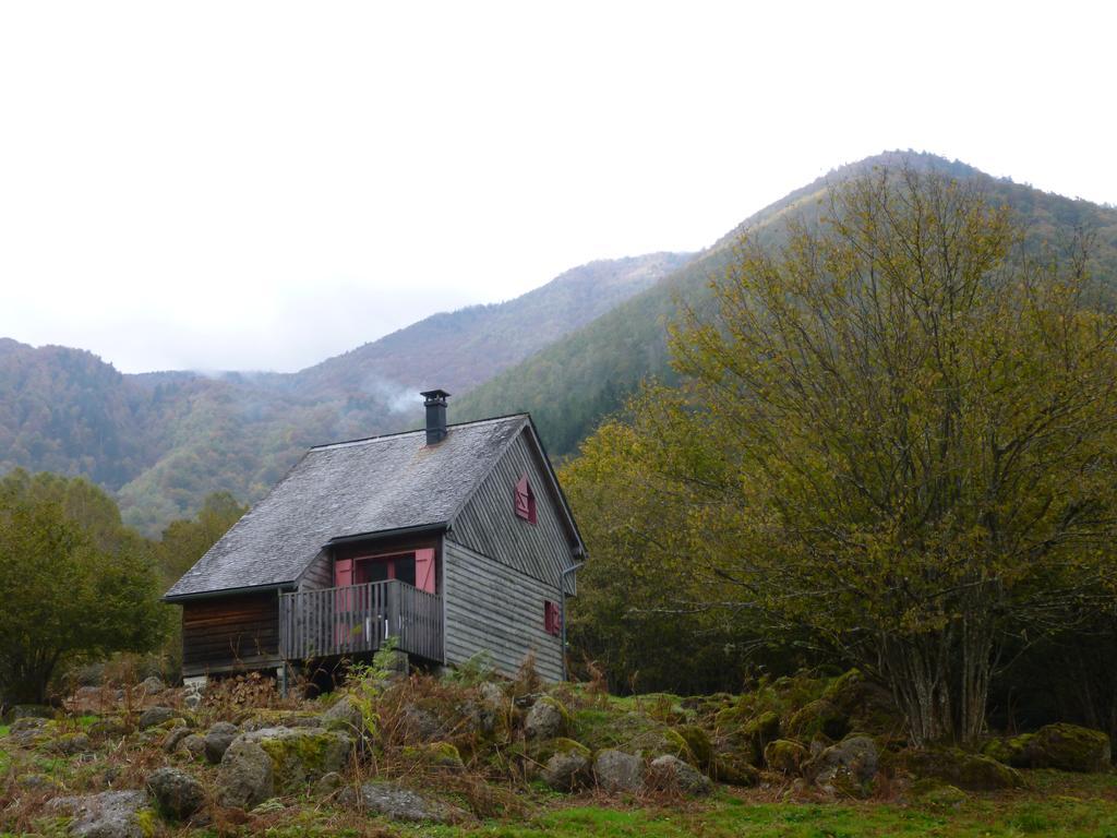 Les Chalets De La Foret D'Issaux Osse-en-Aspe Екстериор снимка