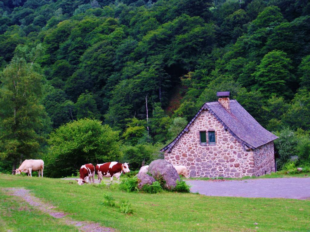 Les Chalets De La Foret D'Issaux Osse-en-Aspe Екстериор снимка