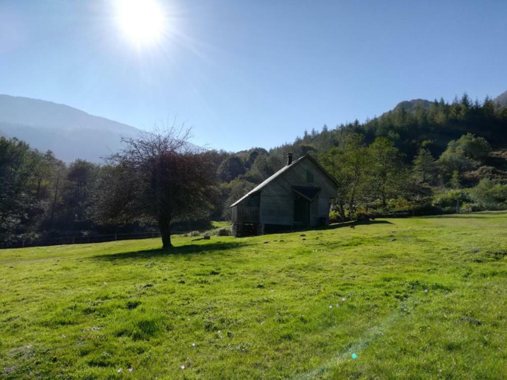 Les Chalets De La Foret D'Issaux Osse-en-Aspe Екстериор снимка